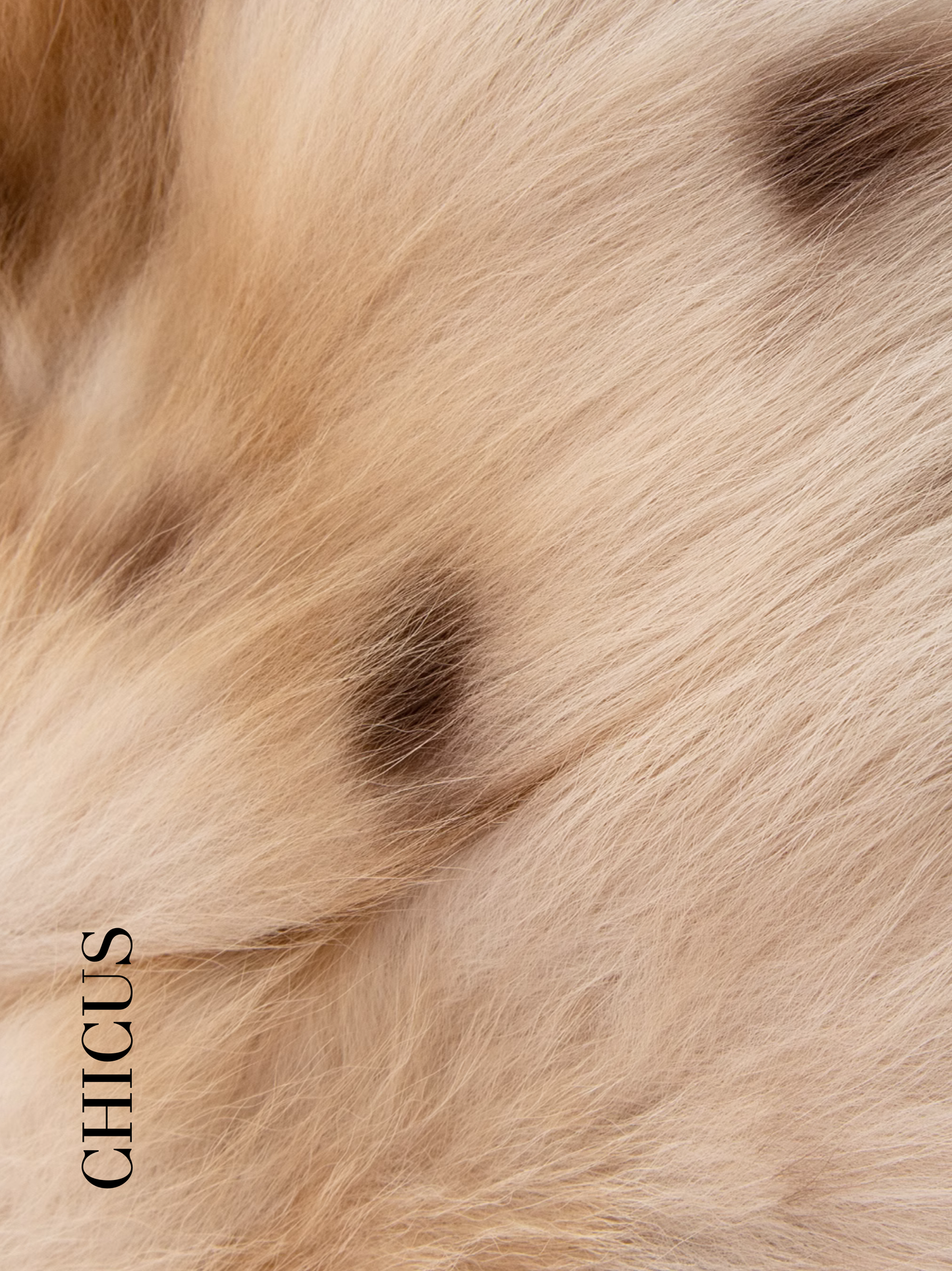 Benekli Tilki "Büyülü Manto" Kadın Kürk Ceket