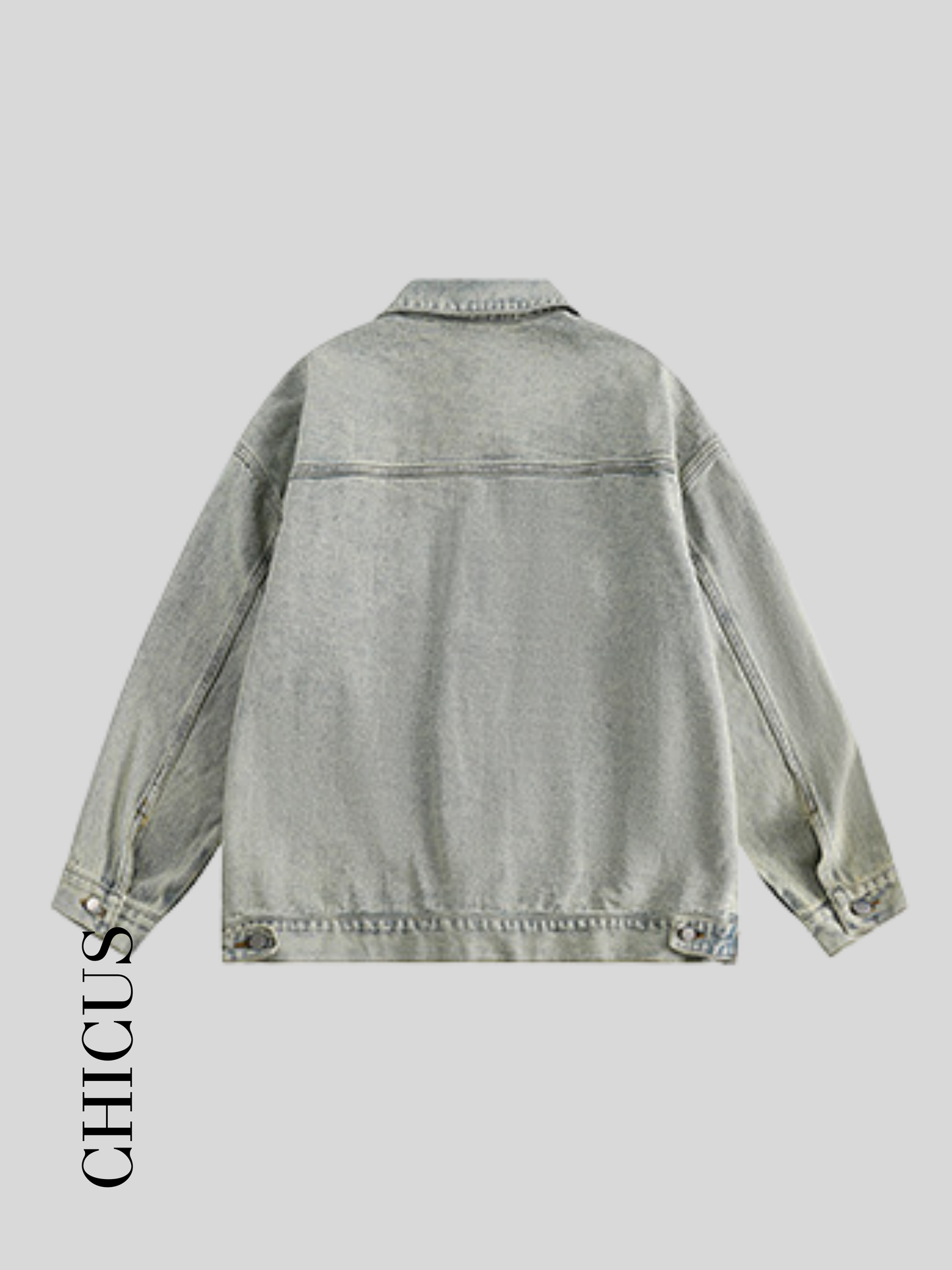 WinSun CHS Kadın Denim Ceket