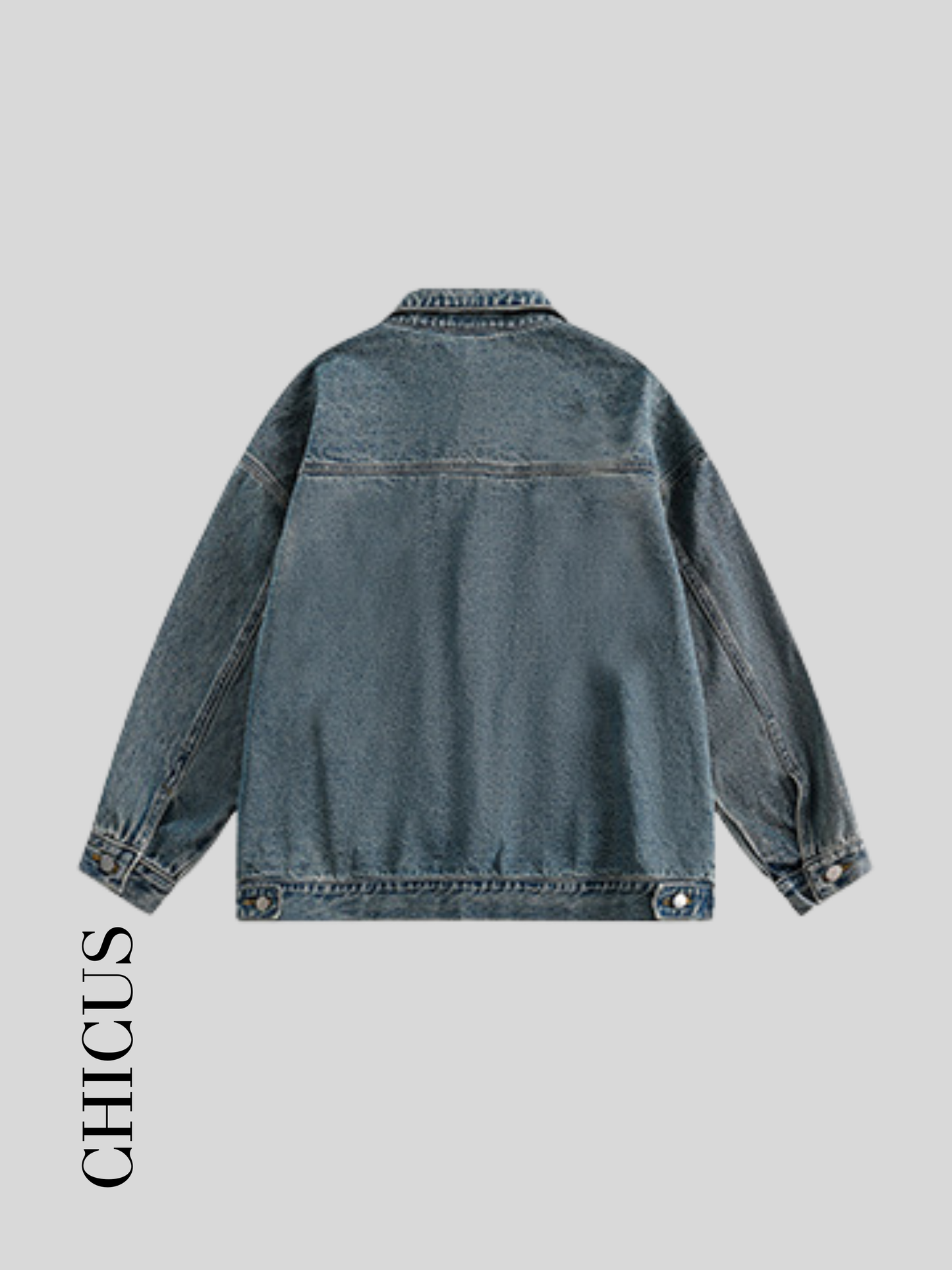 WinSun CHS Kadın Denim Ceket