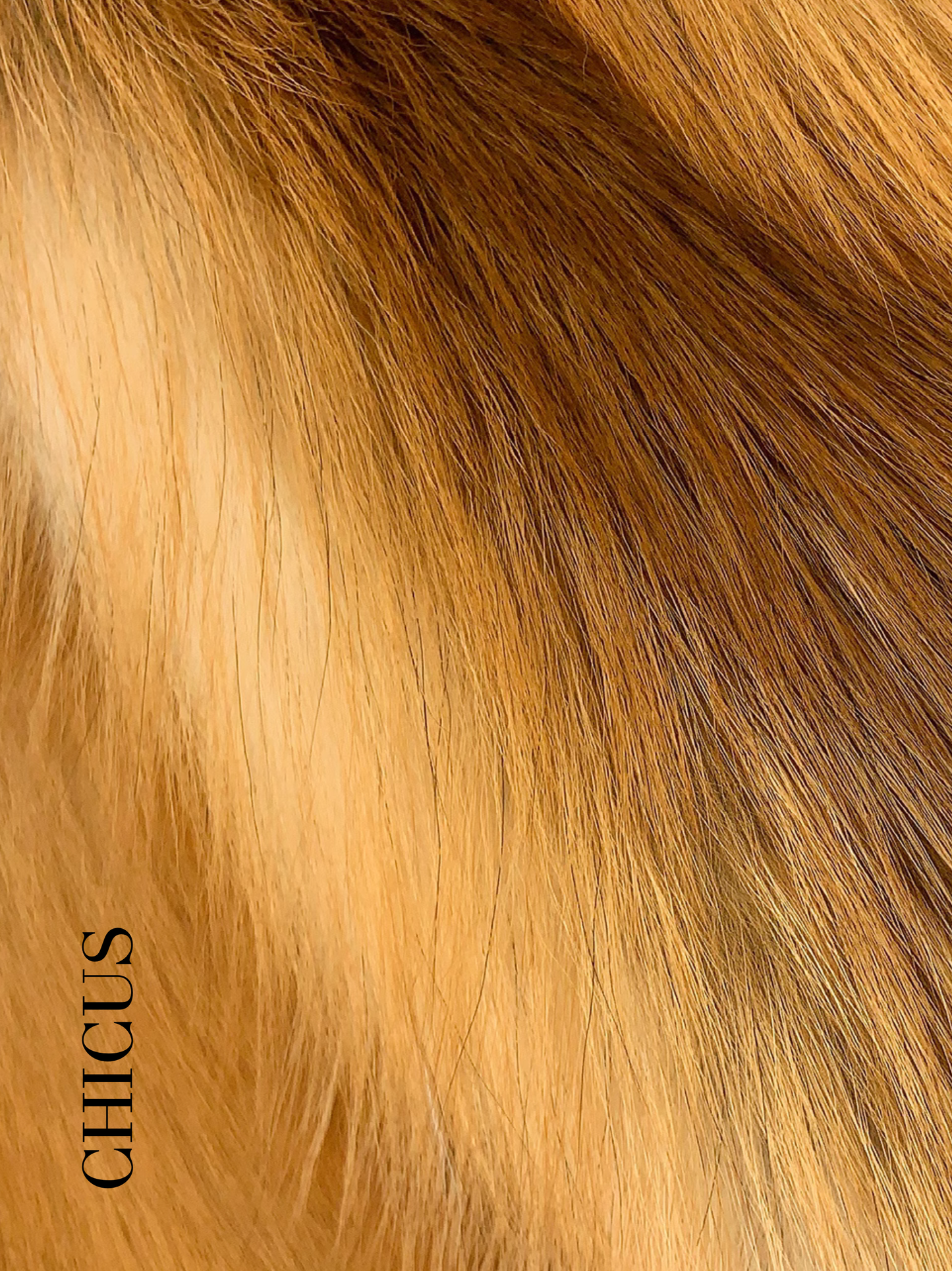 Kızıl Tilki "Tılsımlı Parlaklık" Kadın Kürk Ceket