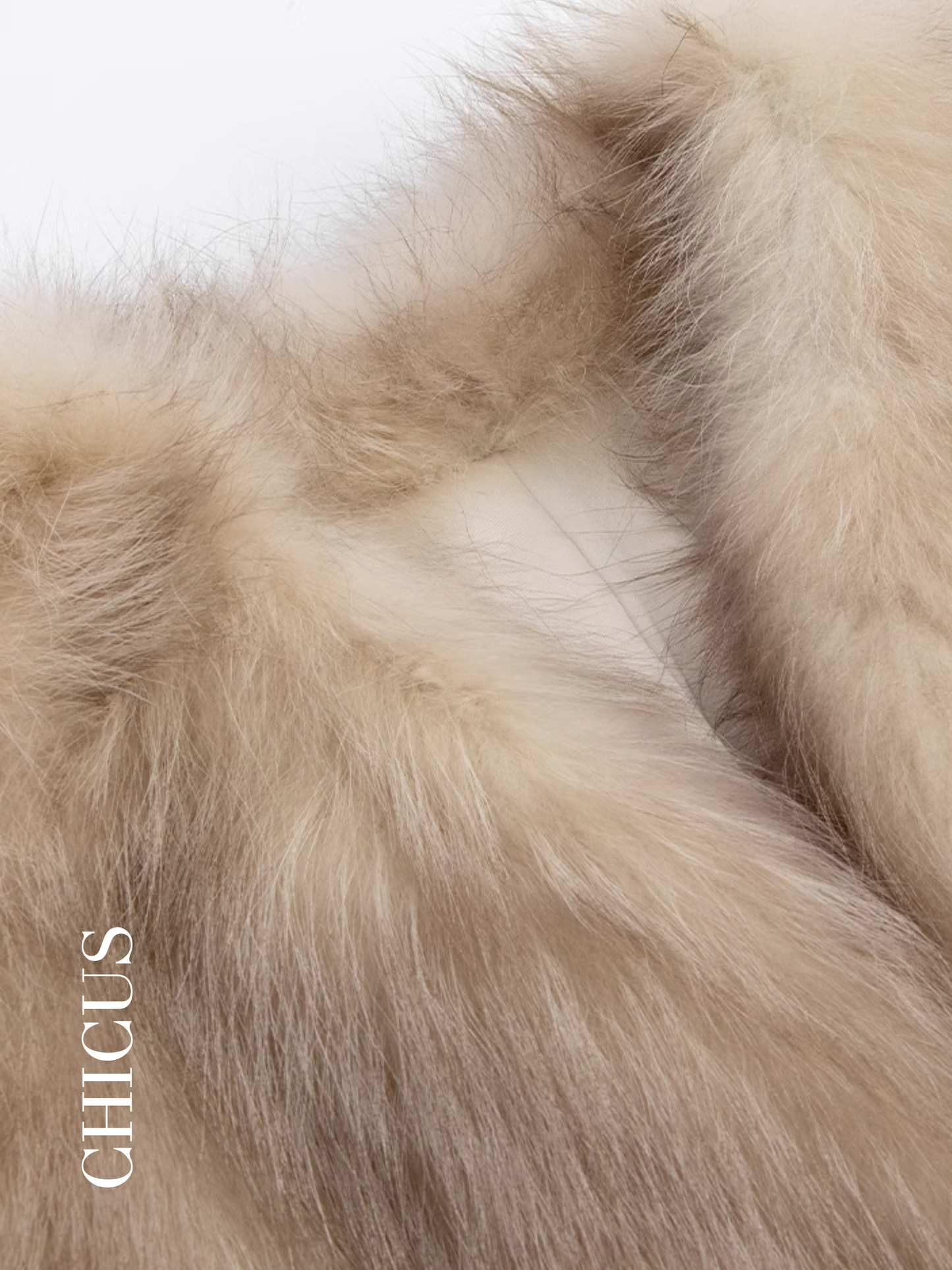 Altın Rakun "Günışığı" Kadın Kürk Ceket